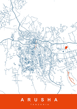Arusha, Tanzania City Map Art