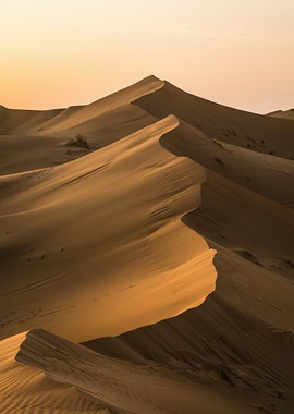 Golden Desert Sand Dunes Landscape