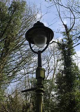 Vintage Street Lamp in Natural Setting