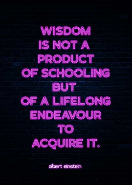 Wisdom Quote by Albert Einstein