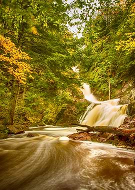 Morgan Falls in Autumn Forest