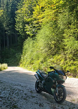 Honda VFR750 RC36 rough forest road