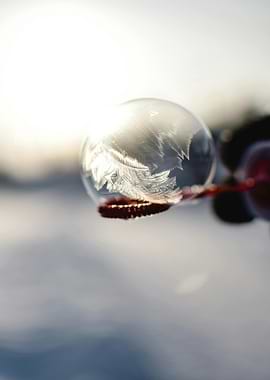 Frozen Bubble with Ice Crystals