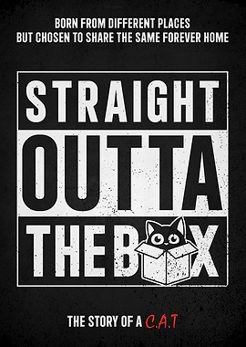 Straight Outta The Box Cat Poster