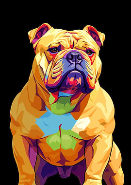 Bulldog Portrait on Black Background