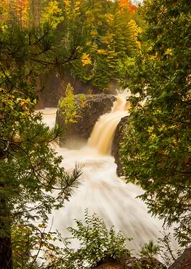 Copper Falls Through Trees