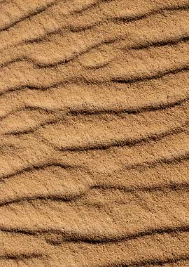 Sand Dunes Texture