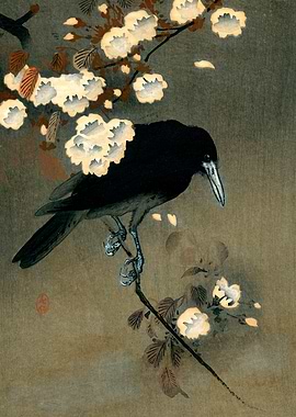Ohara Koson – Crow and Blossom (c. 1900–1930) | Japanese Woodblock Print Masterpiece
