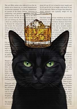 Black Cat with Whiskey Crown