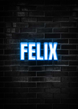 Felix Neon Sign on Brick Wall