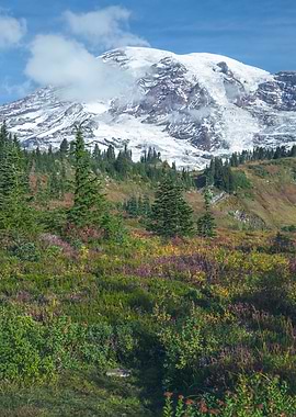 Tapestry of Colors, Mount Rainier
