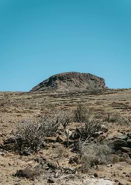 Arid Landscape with Mountain and Shrubs