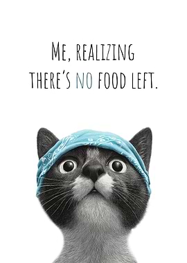 Cool Cat No food left