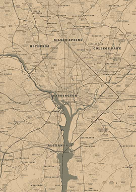 Washington D.C. Area