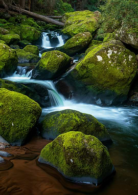 Mossy Rocks and Waterfall Stream