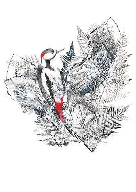 Woodpecker and Ferns