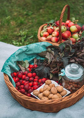 Autumn Harvest Picnic Still Life