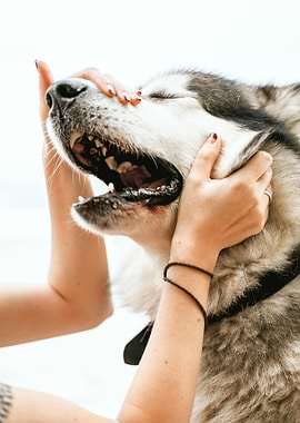 Woman with Husky Dog