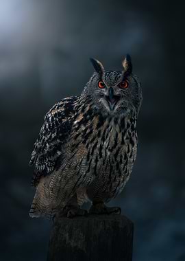 Eurasian Eagle-Owl Portrait