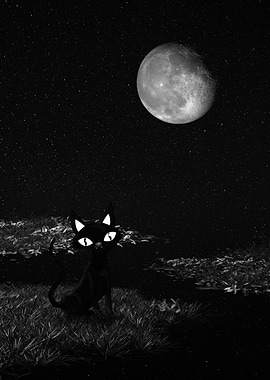 Black Cat Under Moonlight