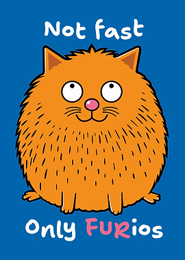 Not Fast Only Furios