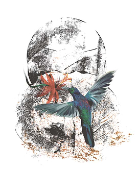 Hummingbird and Flower