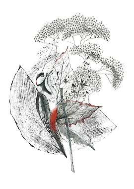 Woodpecker and Foliage Ink Illustration