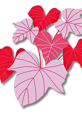 Red and Pink Leaf Illustration
