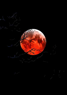 Blood Moon with Bare Branches