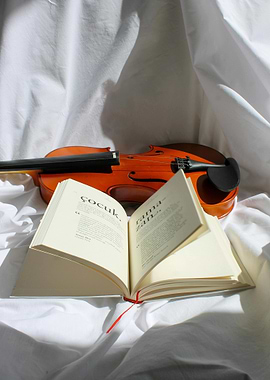 Violin and Open Book Still Life