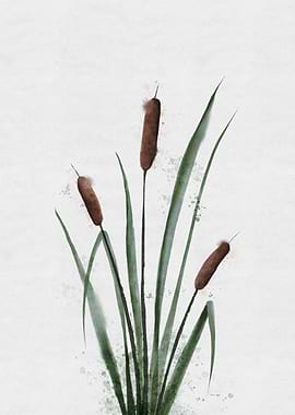 Cattails Watercolor Painting