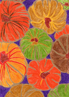 Colorful Pumpkin Patch