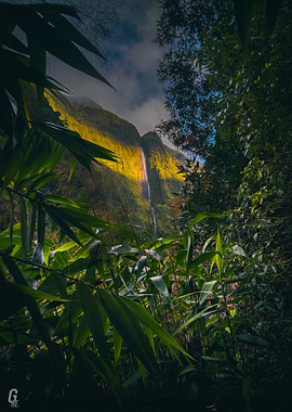 Tropical Waterfall Landscape