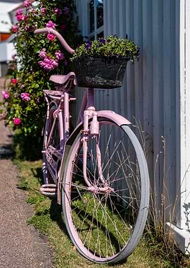 Pink Bicycle with Flowers by White Wall