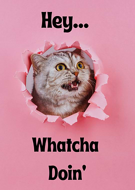 Funny Cat Peeking Through Pink Hole