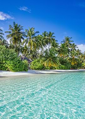 Tropical Beach Paradise with Clear Water