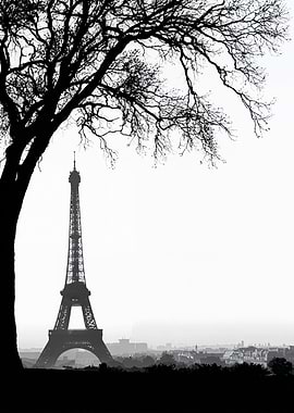 Eiffel Tower Silhouette with Tree