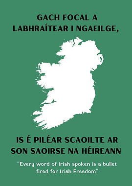 Irish Language and Freedom Poster Kneecap