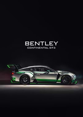 Bentley Continental GT3 Silver and Green
