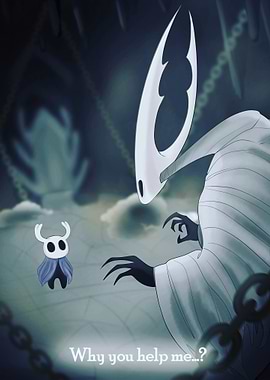 Hollow Knight: Questioning Assistance