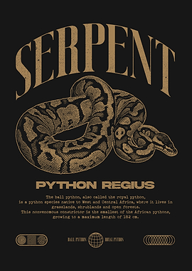 Ball Python Regius Reptile Keeper