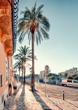 Palm Tree Lined Street in Menorca