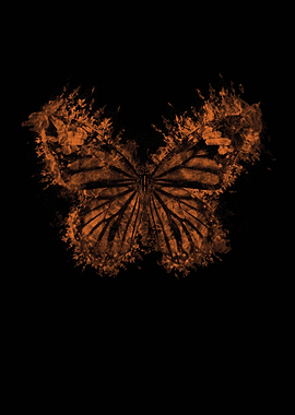 Abstract Butterfly Orange on Black Background