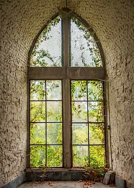 Overgrown Window in Abandoned Room