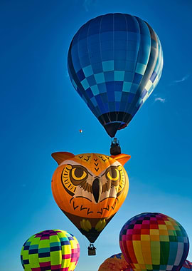 Hot Air Balloons in Flight