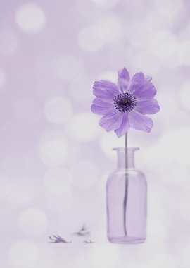 Purple Flower in Vase Still Life
