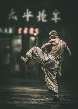 Martial Artist in Action