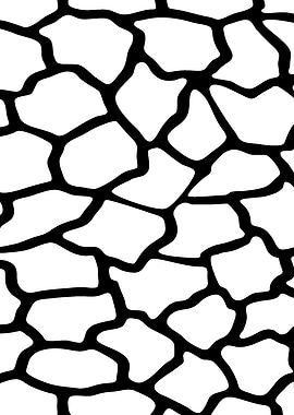 Black and White Abstract Pattern