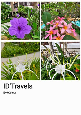 I'DTravels - IDMColour [4]