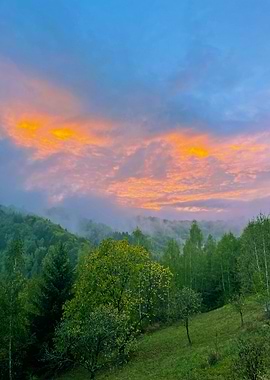 Sunset over misty forest landscape